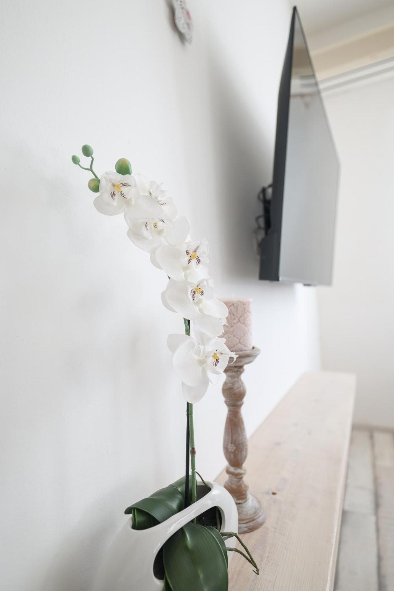 Apartment Floresita Zadar Eksteriør bilde